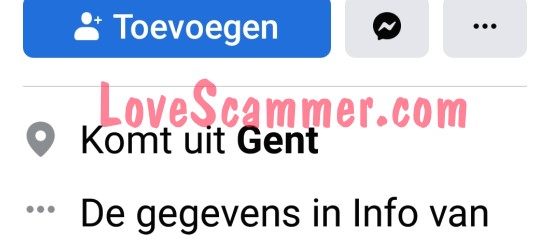 Fraudeurs gebruiken nepprofielen